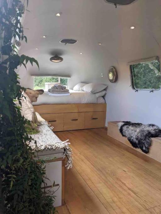 Airstream, Vintage American Caravan & Hottub แอชเบอร์ตัน ภายนอก รูปภาพ